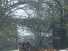 2011040701135805_k-Zoo 189.jpg